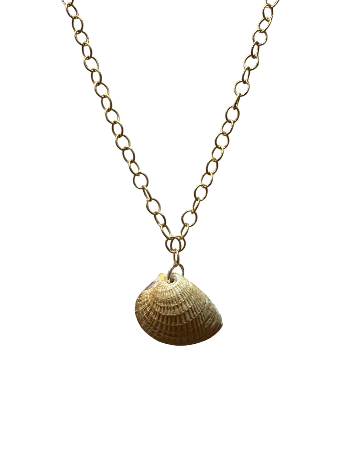 Blue Chinoi Seashell Necklace Gold