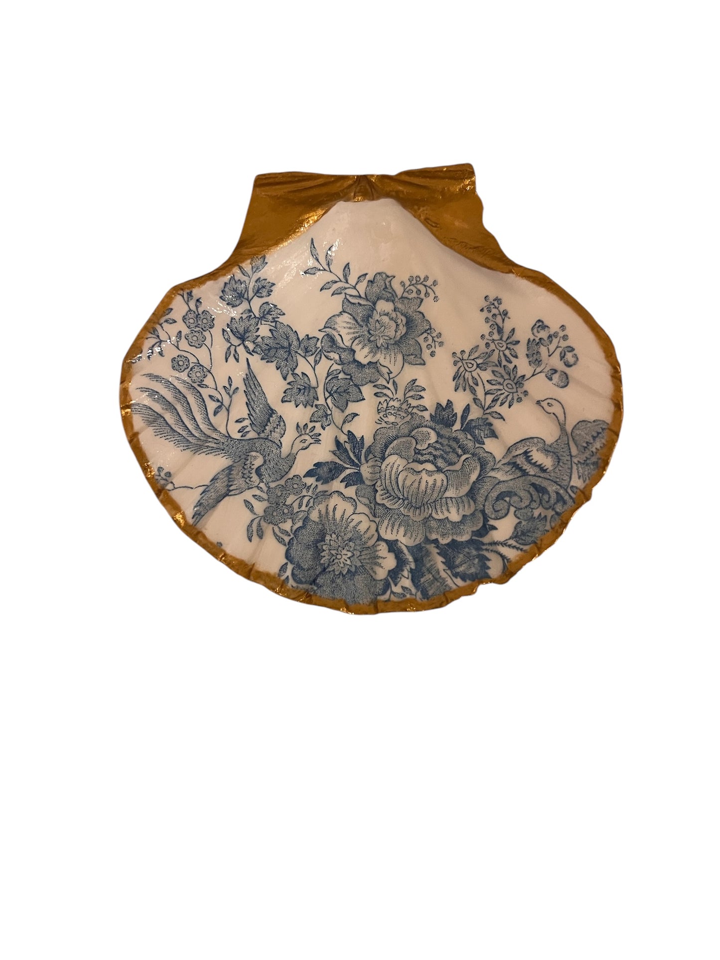 Blue Chinoi Scallop Shell