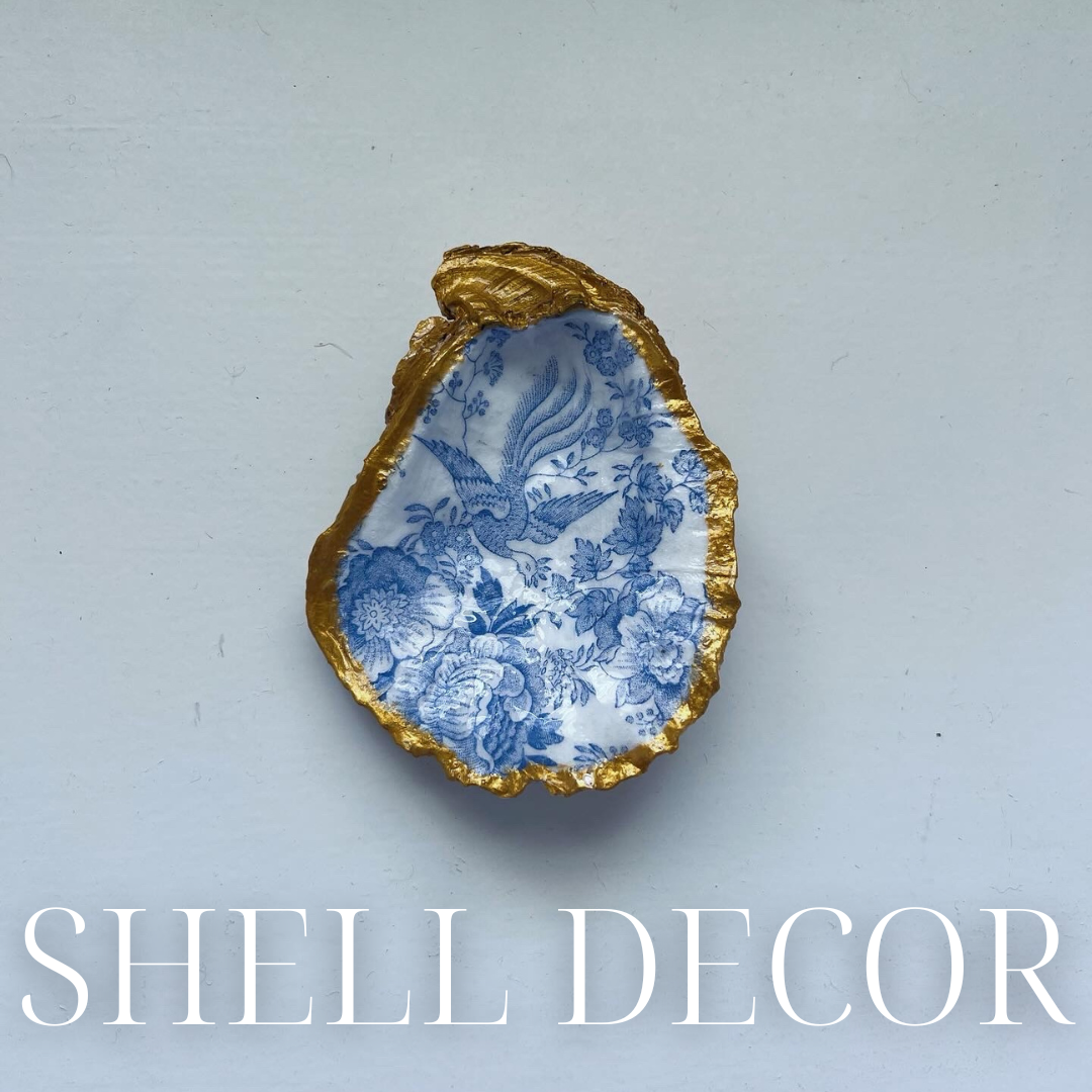 Shell Decor