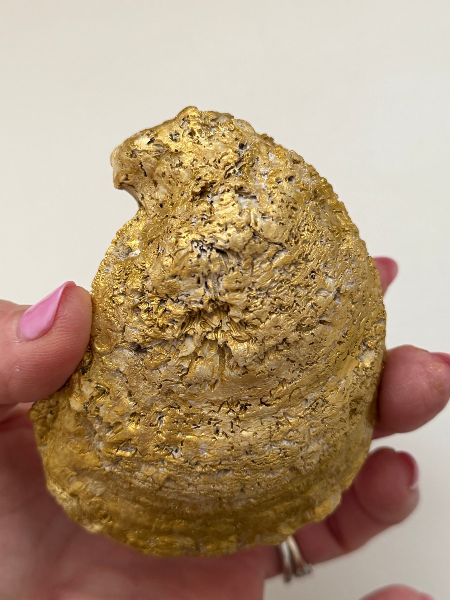 Pink Oyster Shell Trinket Dish