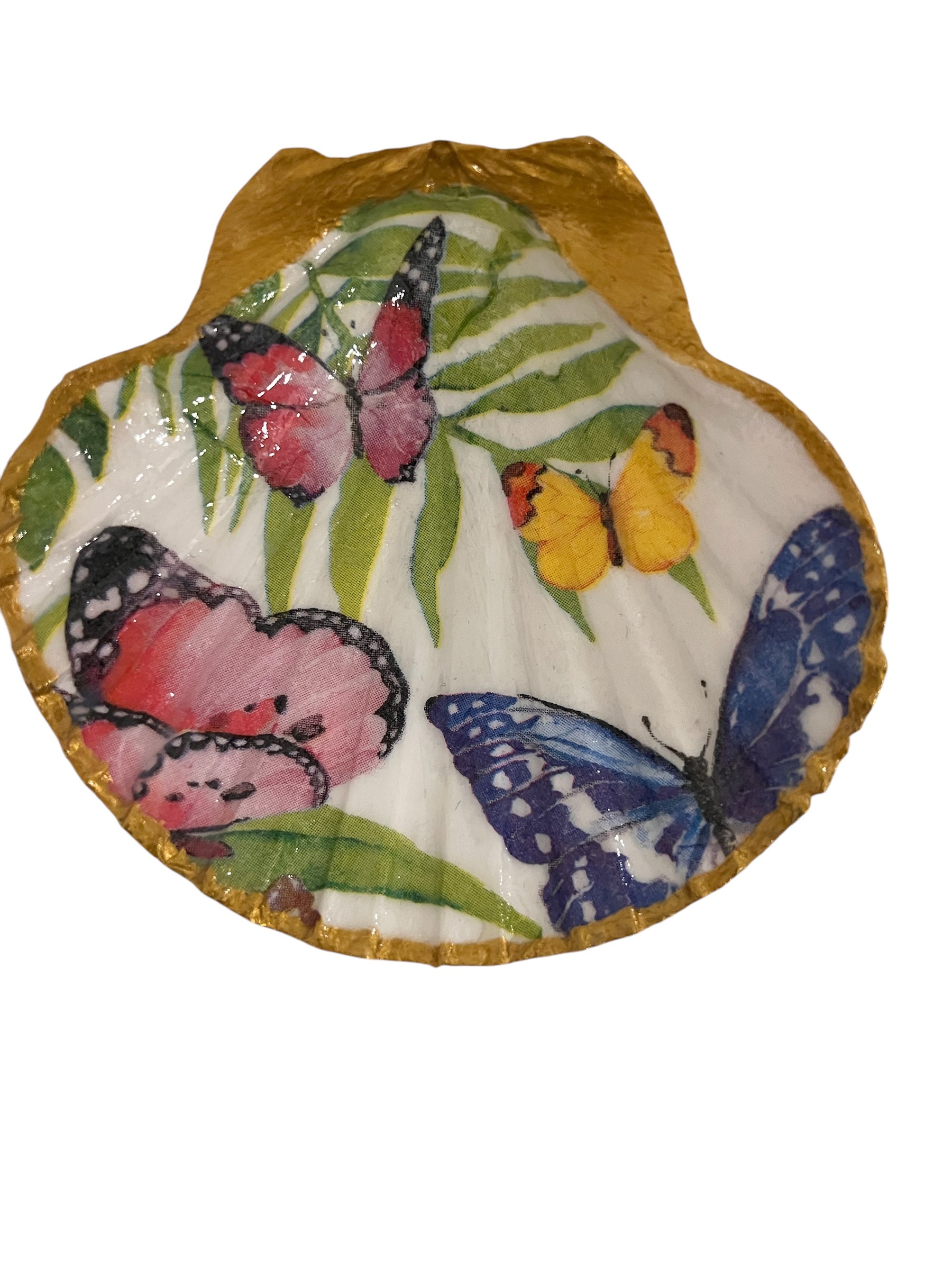 A colorful butterfly scallop shell with various butterflies printed on it.