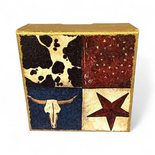 Texas,Cowboy Block Picture