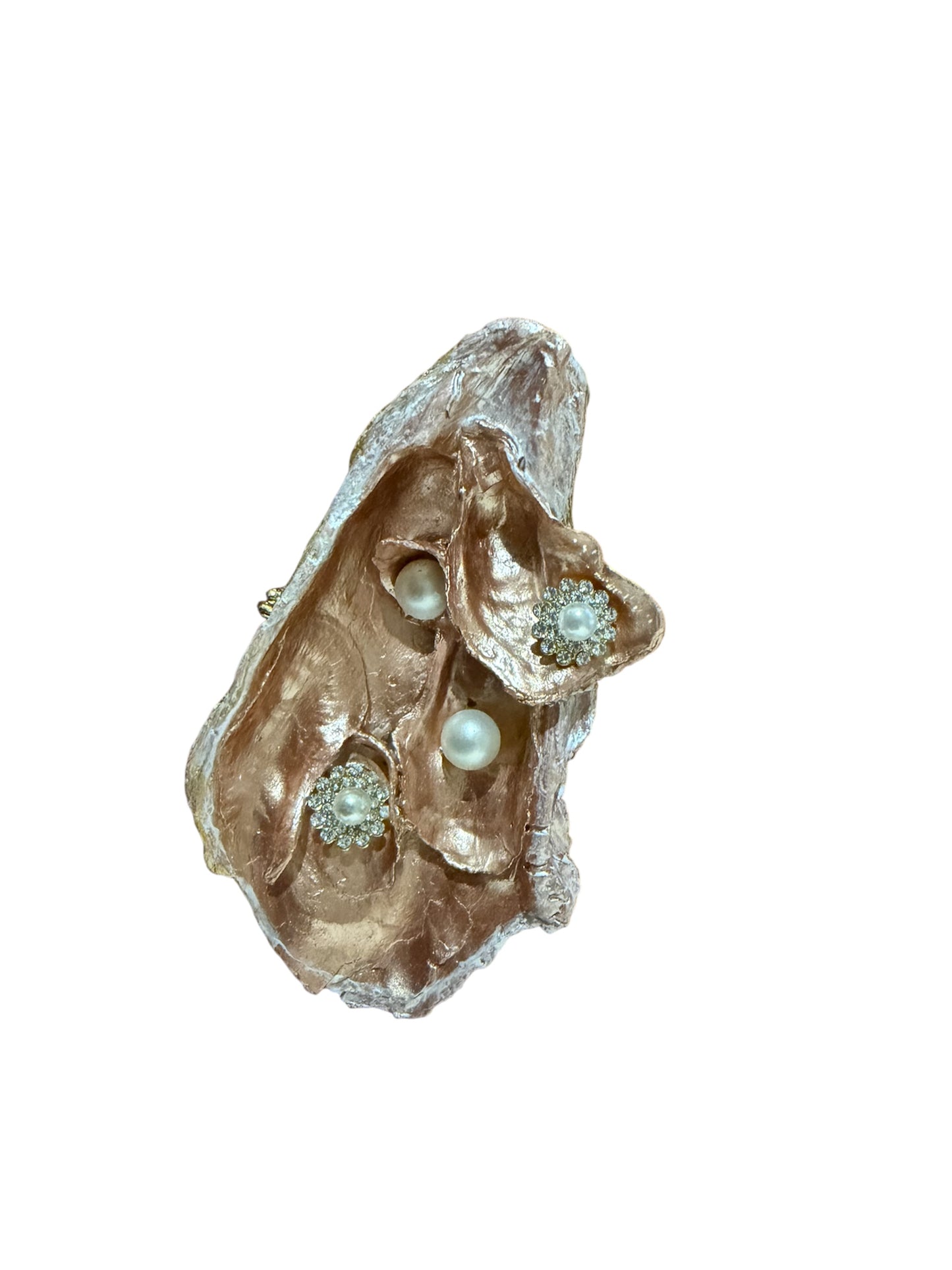 Multifaceted Oyster shell Decor