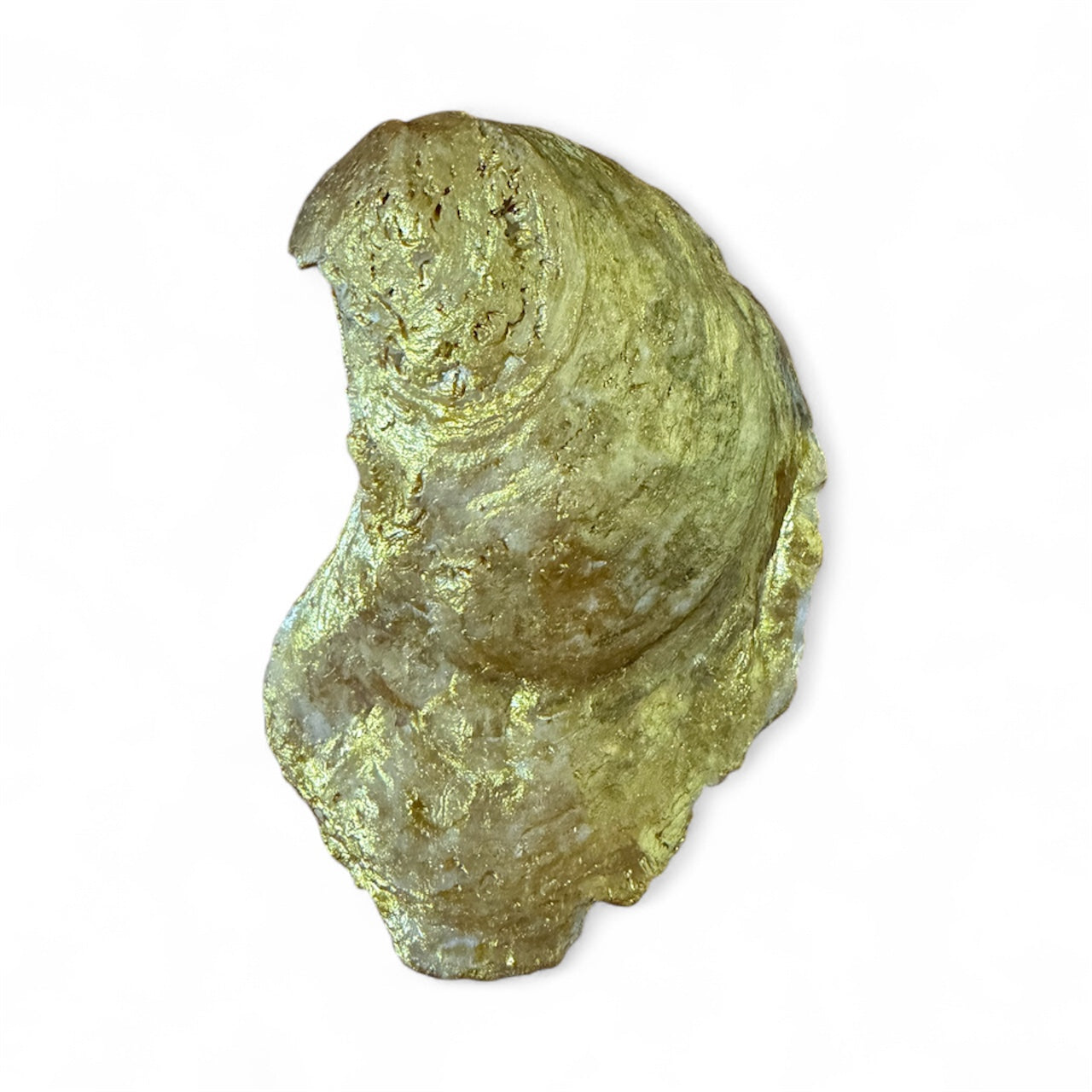 Oyster shell with soap